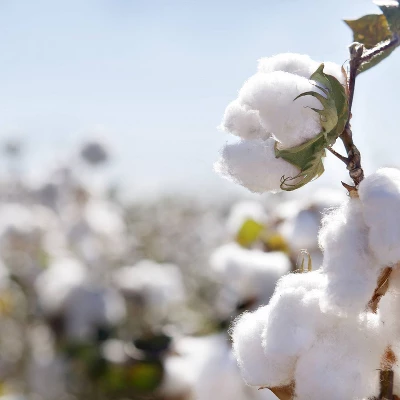 Organic Dream Certified Organic Cool-Gel Premier 2-Stage Crib & Toddler Mattress - Image 2